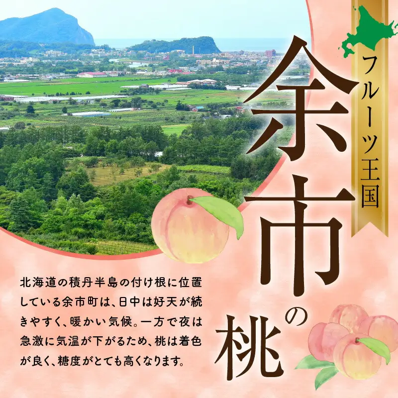 【先行予約：2026年8月中旬以降発送】フルーツ王国余市産「桃」規格外品2kg【ニトリ観光果樹園】_Y074-0146