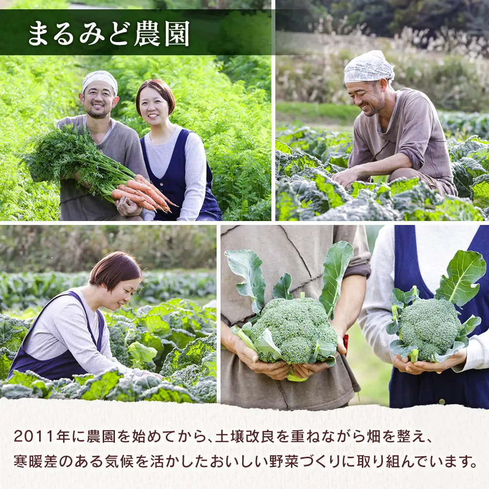 野菜セット 詰め合わせ まるみど農園の季節のお野菜便 農薬使わずに育ててます 9種類 旬 農家直送 国産 送料無料_MA105_001