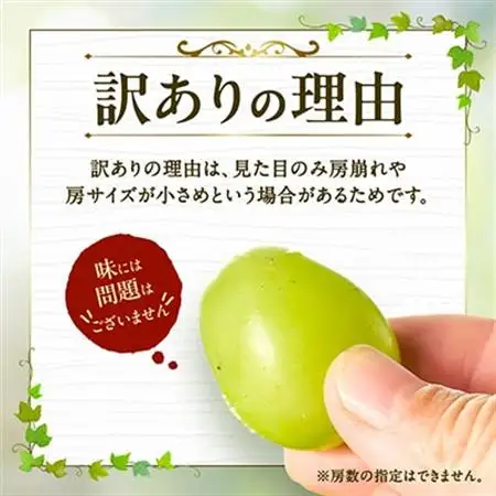 やまなし内藤農園の【訳あり】シャインマスカット 1.5kg【配送不可地域：離島】【1513177】