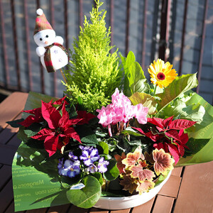 季節のお花が楽しめる！旬のお花盛り合わせ　【11100-0762】