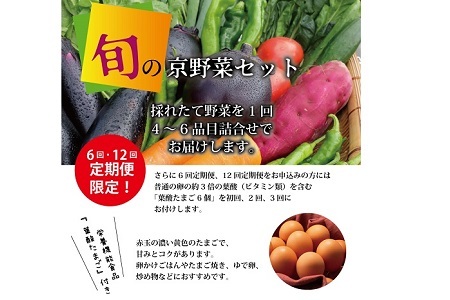【野菜 6回 定期便】旬の京野菜セット　毎月お届けレギュラーコース（全6回）＆『葉酸たまご』6個入り×1パック×3回分付 【 野菜 野菜定期便 野菜詰め合わせ 野菜セット 京野菜 】 [066KH001R]