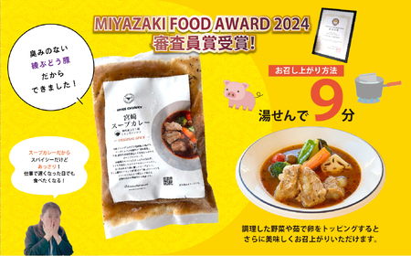 宮崎スープカレー　綾ぶどう豚トロトロなんこつ【スパイスチャンキー】_A0114-201