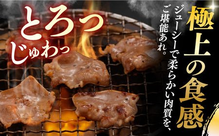 【3回定期便】【塩だれ】九州産 豚タン 毎月250g×2袋 （計1.5kg）長与町/岩永ホルモン [EAX163] 国産 スライス 焼肉