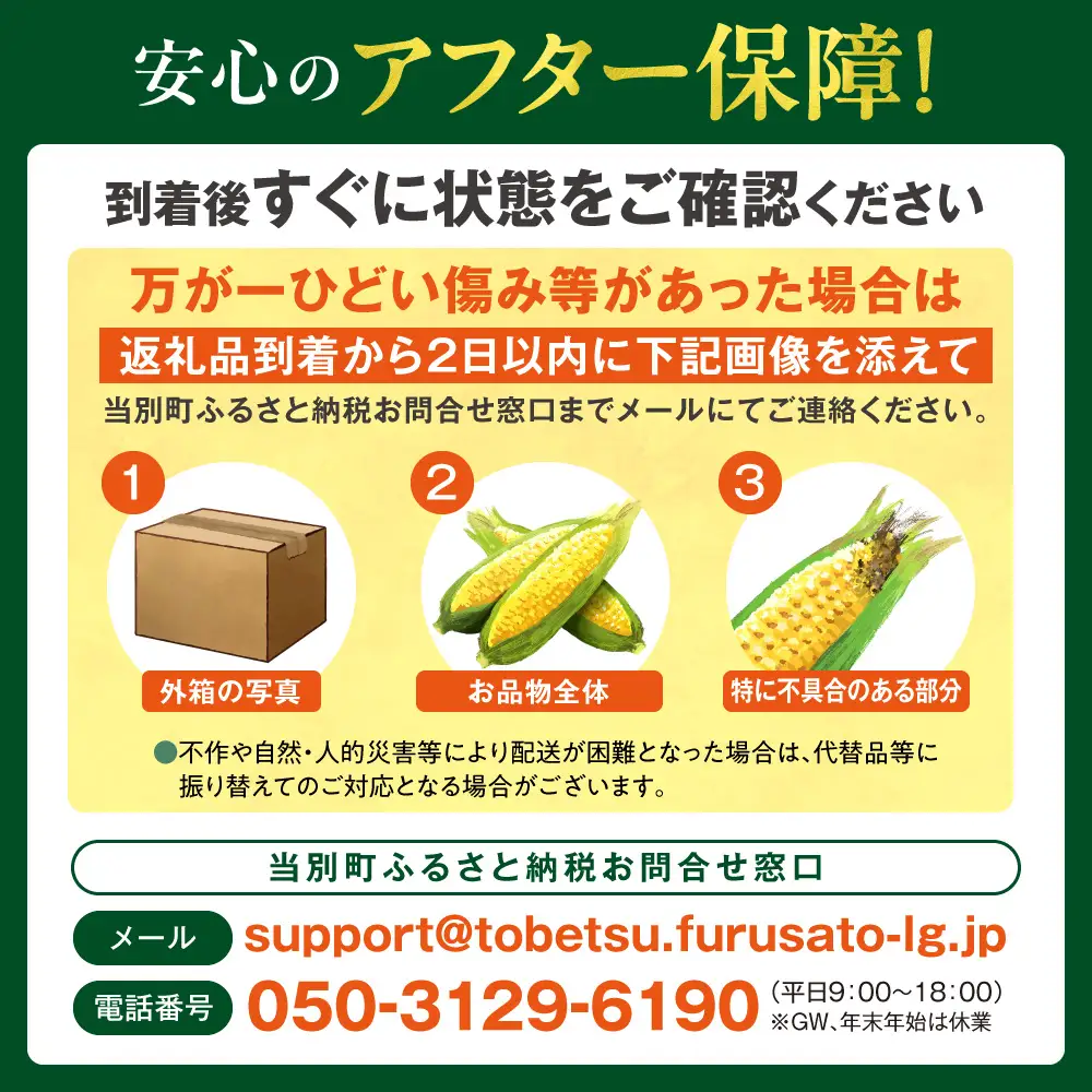 とうもろこし 10本セット 北海道産 トウモロコシ