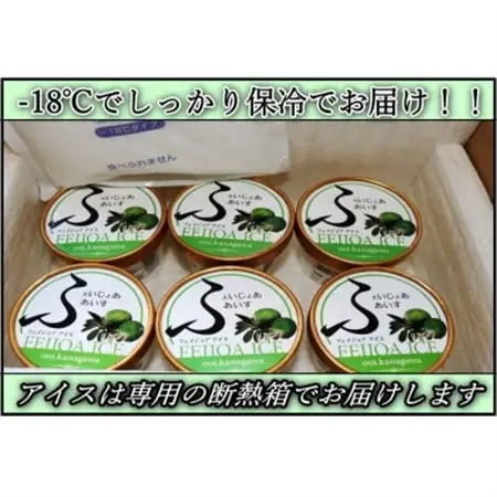 【大井町産フェイジョア使用】ふぇいじょああいす　6個入り_菓子・スイーツ アイス・ジェラート  _【配送不可地域：離島】【1499858】