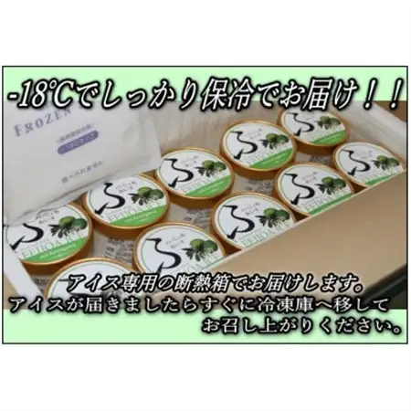 【大井町産フェイジョア使用】ふぇいじょああいす 10個入り_菓子・スイーツ アイス・ジェラート  _【配送不可地域：離島】【1499871】