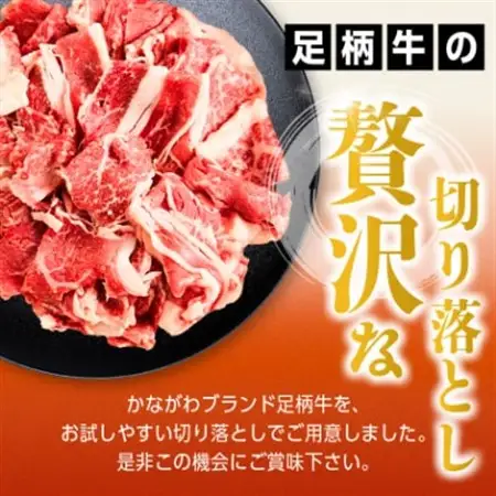 足柄牛【焼肉・しゃぶしゃぶ用】切り落とし500g_足柄牛 焼肉 しゃぶしゃぶ 切り落とし_【配送不可地域：離島】【1507076】