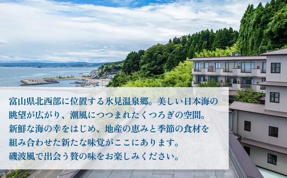 氷見温泉郷 なだうら温泉 元湯 磯波風 宿泊補助券 1万円分 富山県 氷見市 旅行 観光 宿泊 温泉 宿泊券 チケット クーポン 海鮮