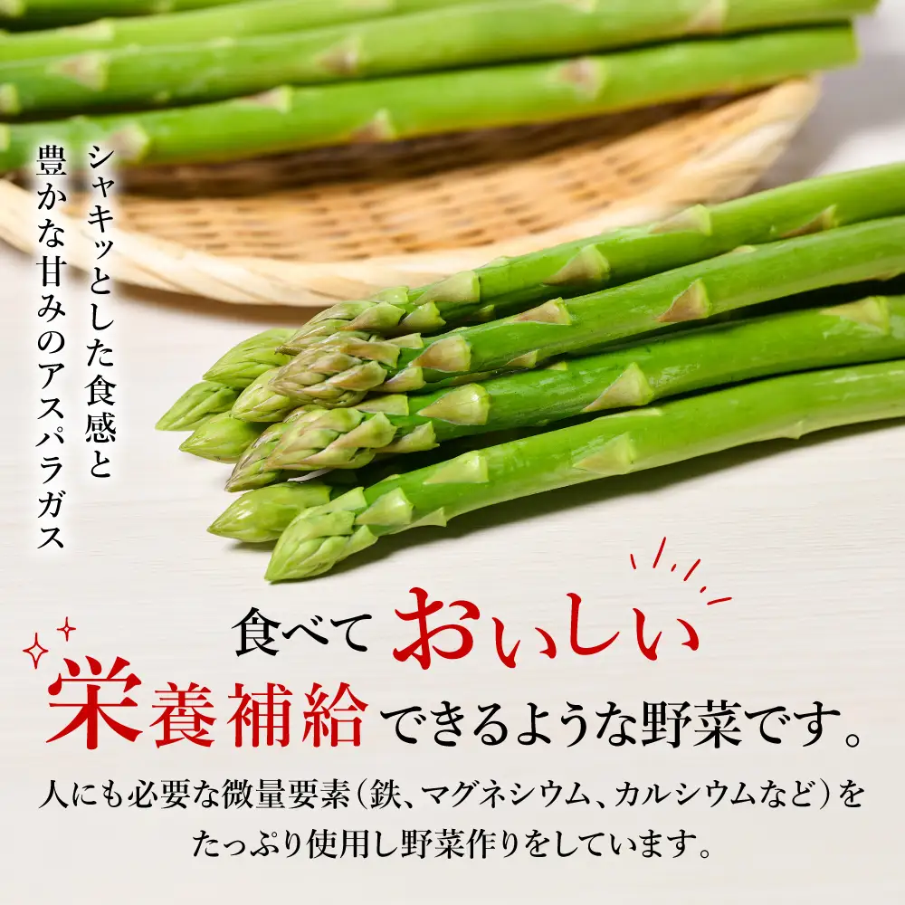 熊本県 八代市産 アスパラガス 1kg 新鮮 アスパラ 野菜 やさい 旬