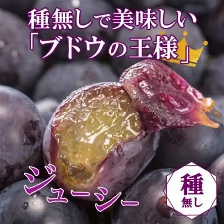 〈2026年発送〉濃厚な味わいが特徴!「山梨県山梨市産の巨峰 2房 約1kg」【配送不可地域：離島・沖縄県】【1513024】