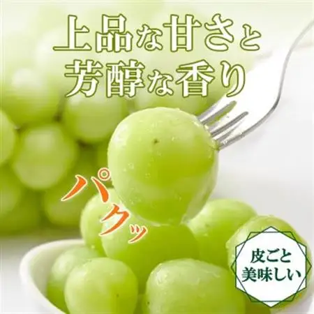 〈2026年発送〉大房で食べ応え満点!「山梨県山梨市産 シャインマスカット 2房 約1kg」【配送不可地域：離島】【1513030】