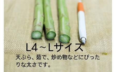 26-A 鮮度抜群！佐瀬農園のグリーンアスパラガス ※2026年4月中旬～9月上旬頃に順次発送予定