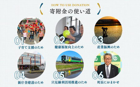 《返礼品なし》福島県会津坂下町おうえん寄附金　5,000円