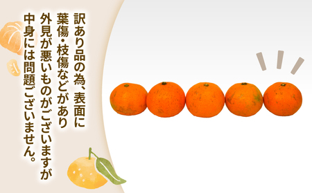 みかん 訳あり 小玉 温州みかん 早生 10kg 玉津柑橘倶楽部 訳あり B010-072030
