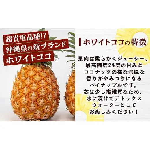 [先行予約] 最高糖度20度！？ 完熟の極 石垣島産幻のパイナップル ホワイトココ2個セット