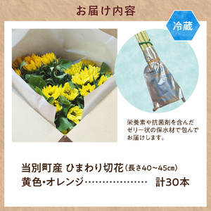 ひまわり 切花 30本 黄色 オレンジ 四季農場《6月上旬-9月下頃出荷》北海道 当別町