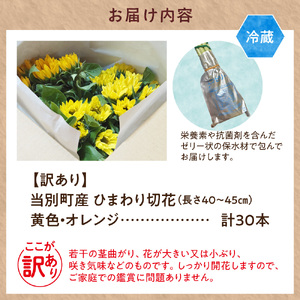 【訳あり】ひまわり 切花 30本 黄色 オレンジ 四季農場《6月上旬-9月下頃出荷》