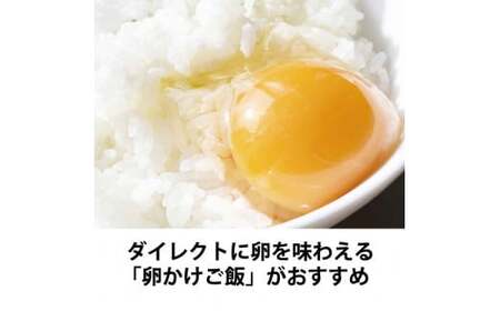 【徳島県産 卵】10個 卵 鶏 アローカナ 鶏卵 最強のTKG 高級 しあわせの青い卵 平飼い 採れたて 希少 国産 