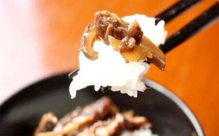 豊後牛と椎茸のしぐれ煮 100g×2袋（計200g）FB10