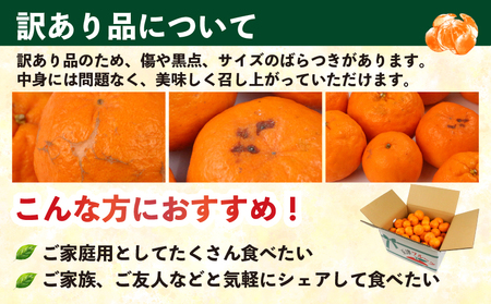 訳ありﾎﾟﾝｶﾝ 9kg 河野農園 みかんﾎﾟﾝｶﾝﾎﾟﾝｶﾝﾎﾟﾝｶﾝﾎﾟﾝｶﾝﾎﾟﾝｶﾝ B010-147005