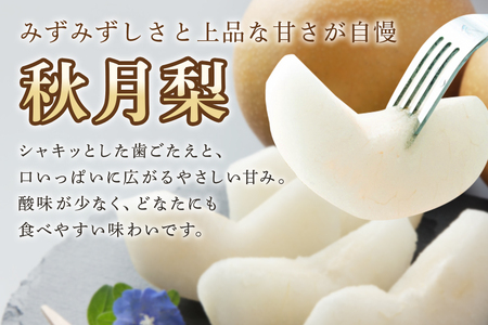 【数量限定・先行予約】 梨 秋月 3kg 2L～5L 6～9玉 なし ナシ あきづき アキヅキ 果物 フルーツ 国産 【9月15日以降発送予定】 70-C