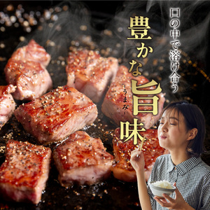 博多和牛 ロースサイコロステーキ用 400g_KJ0206