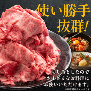 博多和牛 切り落とし 500g_KJ0606