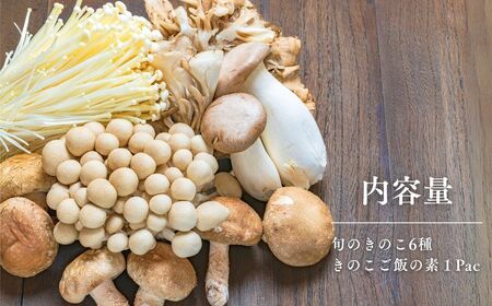旬のきのこ6種+きのこご飯の素セット|きのこ