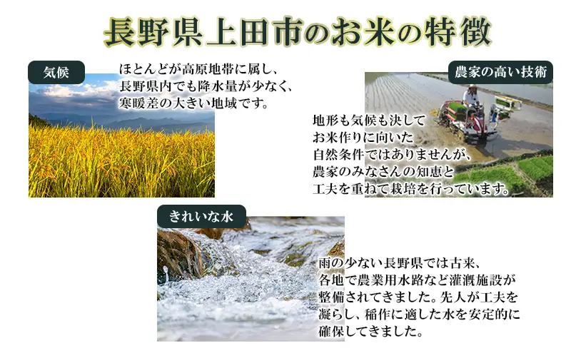 米 コシヒカリ 10kg お米 白米 精米 単一原料米 令和7年産 長野県産 長野 長野県 上田市