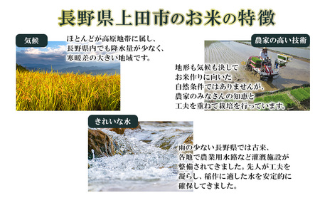 米 令和7年産 長野 風さやか 10kg お米 こめ コメ おこめ 白米 精米 オリジナル オリジナル米 ブランド米 かぜさやか 信州 長野県 上田市 上田