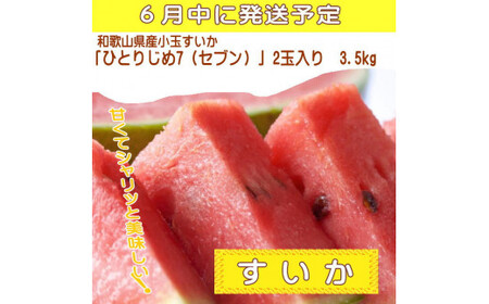 【定期便】夏をお届け！フルーツ定期便！小玉すいか・桃・ピオーネ（全3回）/ フルーツ 果物 すいか ひとりじめ7 もも モモ ぶどう ブドウ  旬 定期便 【tkb345】
