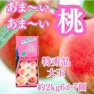【定期便2回】美味しい桃(約2kg)と大粒シャインマスカット（約2kg）