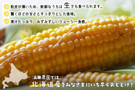 【先行予約受付中！】北海道浦河産 朝もぎとうもろこし「おおもの」10本入[24-1393]