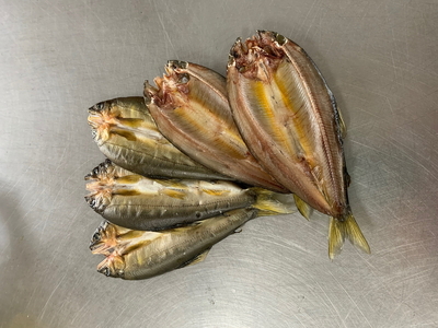 地下水育ち　鮎一夜干し　5尾入り3パック