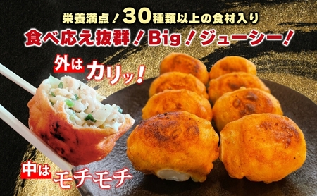 餃子のはながさ ホワイト餃子 16個×2パック お試し 冷凍 中華 点心 B級グルメ ご当地 野菜 おつまみ おかず 簡単調理 時短 豚肉 ポーク 大きめ ジューシー ギフト お取り寄せ 日高市