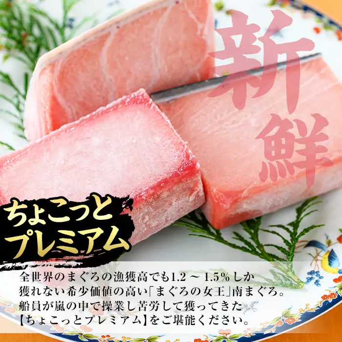 【ちょこっとプレミアム】天然南まぐろフルセット　合計約300g【00-041-09】