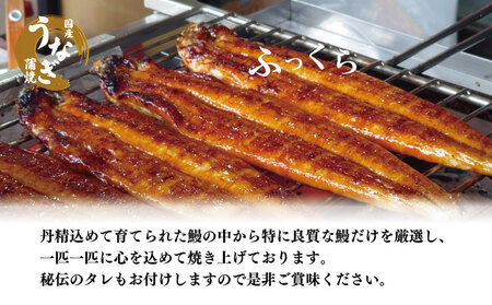 特上うなぎ 蒲焼 国産 2尾 約320g うなぎ