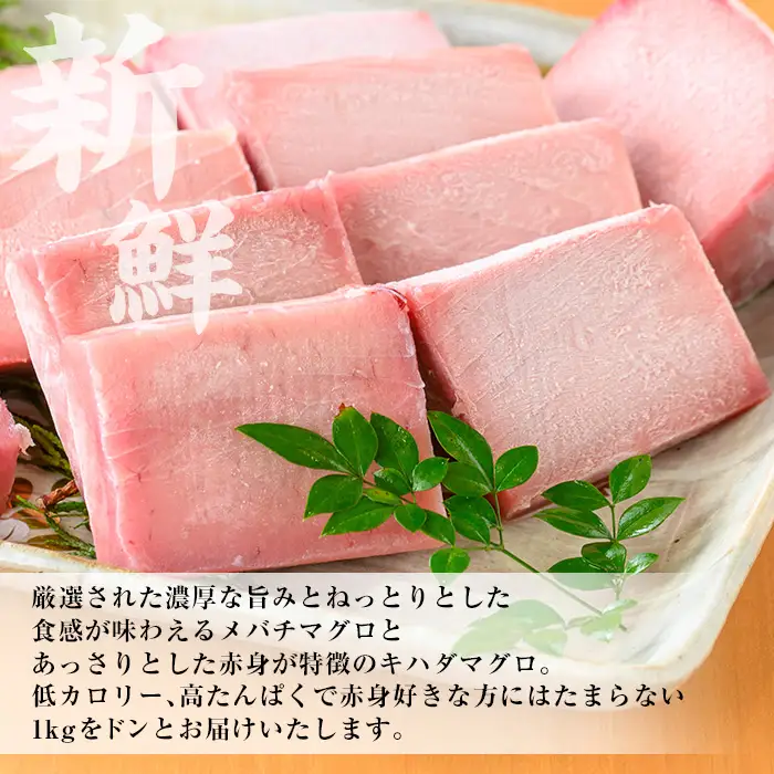 天然！メバチマグロとキハダマグロ 冷凍 それぞれ 赤身 100g×5 合計約1kg！を便利な小分け柵でお届け【00-041-13】