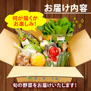 野菜 詰合せ 6?8種 野菜セット