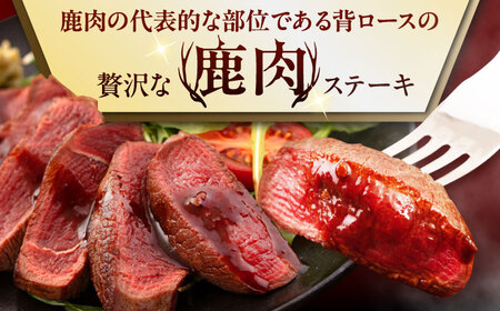 【全3回定期便】鹿肉 背ロース 3枚  ジビエ 赤身 冷凍配送 北海道 [AJAO028]