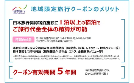 大分県大分市 日本旅行 地域限定旅行クーポン 【90,000円分】 O02051
