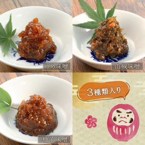 丹波味噌シリーズ 梅・山椒・柚子味噌各1個 3種セット 味噌 みそ 瓶詰 グルメ 調味料 ふるさと納税 京都府 京丹波町 1万円 10000円 常温 惣菜 和風ご飯 米 おかず ご飯のお供 ギフト