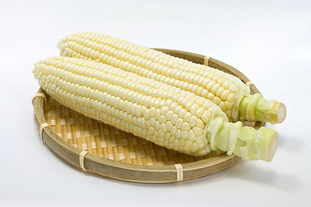 【2026年夏の予約受付開始！】小林農園の白くて甘いとうもろこし『味甘ちゃんホワイト（みかんちゃんほわいと）』8～9本入り（4kg強セット）／スイートコーン注目品種を予約受付中！ 【長野県信濃町ふるさと納税】