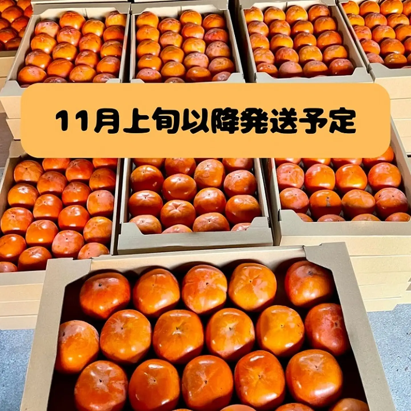 富有柿 ご自宅用 約5kg：B140-002