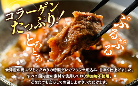 【会津産馬肉使用】馬スジ煮込み 2.7kg （300g×9パック） | 馬スジ 馬すじ 馬肉 煮込み 小分け 小分 パック 真空パック 総菜 おかず おつまみ 冷凍 福島 猪苗代町
