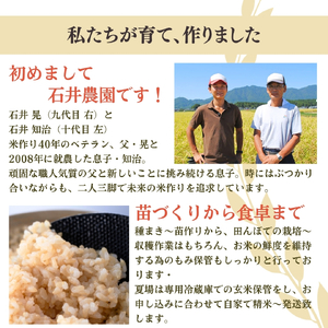 新潟県弥彦村石井農園 令和7年産コシヒカリ＜玄米 10kg＞ | コシヒカリ
