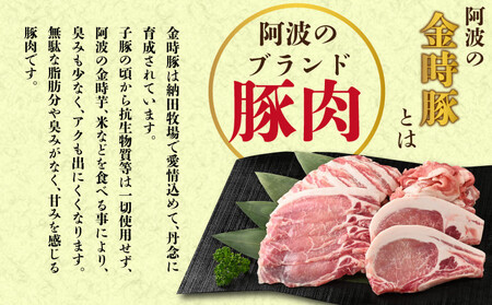 金時豚 ミートソース 4個 (180×4) 豚肉 レトルト 【 ミートソース 】