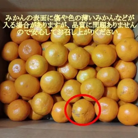有田・庄助みかん5kg(家庭用品・サイズ混合)【1515987】