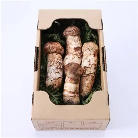 【2026秋発送】【特選】岩泉まつたけ 直送 300g_野菜 松茸 きのこ まつたけ マツタケ_【配送不可地域：離島】【1423393】