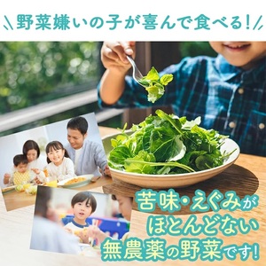 SA2136　「まほうのやさい すこやかセット」　ベビーリーフ　計900g(100g×9袋)